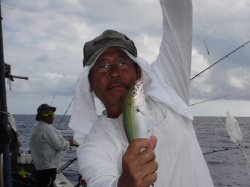 TEAM�Ôg�Èɍ]���ɂ�