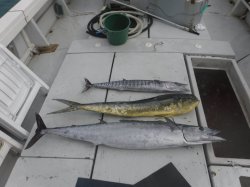 TEAM MAEDA�@�@�@��Z�񂴂܂݃J�b�v