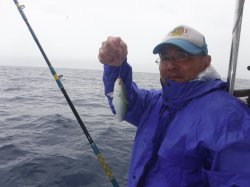 ����̊F����ɍ]���ɂ�