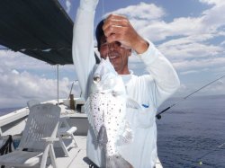 TEAM�Ôg�Èɍ]���ɂ�