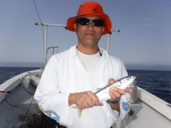 �����g�E�F���̊F����ɍ]���ɂ�