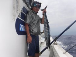 TEAM MAEDA�@�@�@��Z�񂴂܂݃J�b�v�������[��(�J�}�X�T����)4.81kg