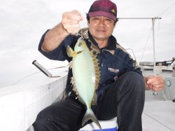 ����̊F����ɍ]���ɂ�