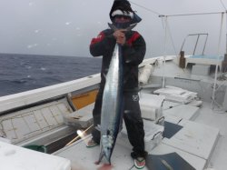 TEAM MAEDA�@�@�@��Z�񂴂܂݃J�b�v�������[��(�J�}�X�T����)18.84kg