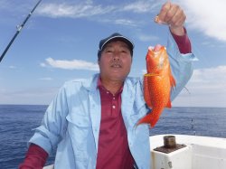 TEAM�Ôg�Èɍ]���ɂ�