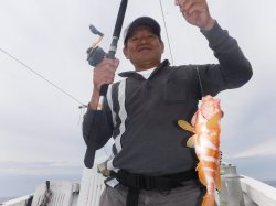 TEAM�Ôg�Èɍ]���ɂ�