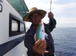 TEAM�Ôg�Èɍ]���ɂ�