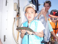 ��������̊F����