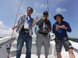 �L��������f���J�E�C���O�̊F����