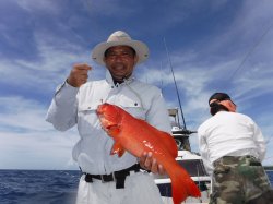 TEAM�Ôg�Â̊F����