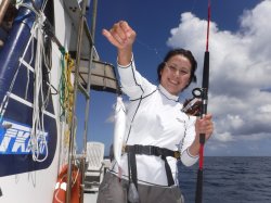 ���É��s����␣����e�q