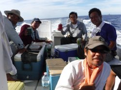 TEAM�Ôg�Â̊F����