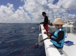 ���É��s����␣����e�q