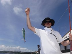 �L��������f���J�E�C���O�̊F����