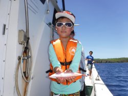 ��������̊F����