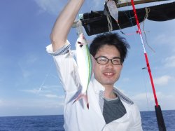 �L��������f���J�E�C���O�̊F����