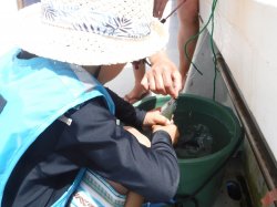 ���É��s����␣����e�q