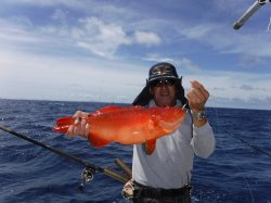 TEAM�Ôg�Â̊F���񂠂�����݁[�΂�(�X�W�A��)2.28kg