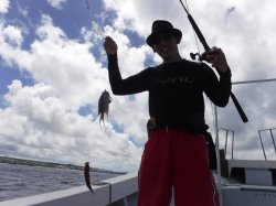 ���É��s����␣����e�q