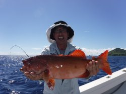 TEAM�O���N��������݁[�΂�(�X�W�A��)2.66kg