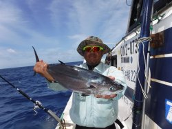 TEAM�Ôg�Â̊F����