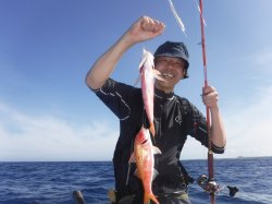 ���m������̊F����