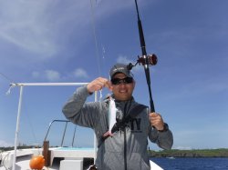 �L��������f���J�E�C���O�̊F����