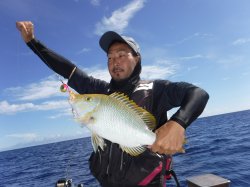 TEAM�O���N���܂�(�n�}�t�G�t�L)47cm�@1.34kg