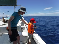 �_�ސ쌧���獂������e�q