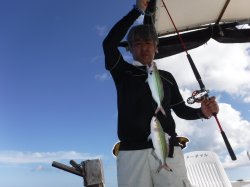 ���挧����Ƃ���d�݂̊F����