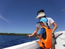 ���������J����Ƒ�