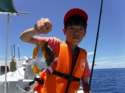 �_�ސ쌧���獂������e�q