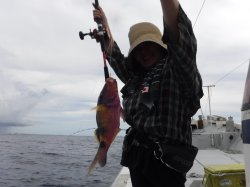 ����܎s���珼������e�q