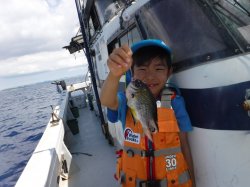 ��t�������t����e�q