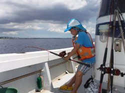 ��t�������t����e�q