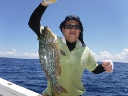 �Ò�36�N���̊F����