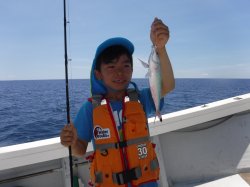 ��t�������t����e�q