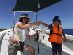 ���������J����Ƒ�