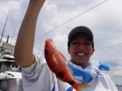 ����܎s���珼������e�q