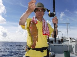 ���挧����Ƃ���d�݂̊F����