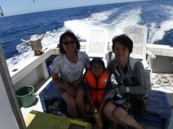 ���������J����Ƒ�