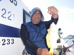 �Ò�36�N���̊F����