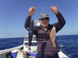 �Ò��R�Q�N���@�@�ɍ]���ɂ�