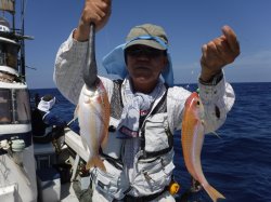 �Ò��R�Q�N���@�@�ɍ]���ɂ�