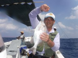 ����֌W�ҁ@�ɍ]���ɂ�