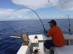 �^�}�L�g�@������