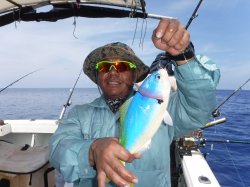 TEAM�Ôg�Á@�k�m�]��