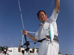 �Ò��R�U�N���@�@�n���쓇�ɂ�