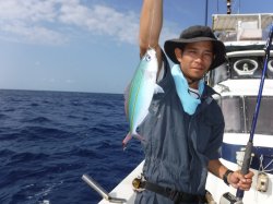 �Ò��R�U�N���@�@�n���쓇�ɂ�