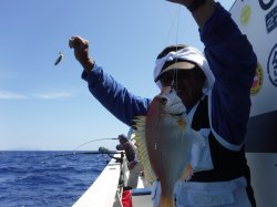 �Ò��R�Q�N���@�@�ɍ]���ɂ�